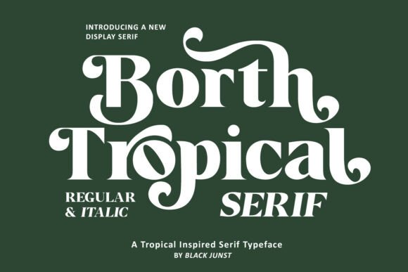 Borth Tropical: A Modern Serif for Polished Web Design