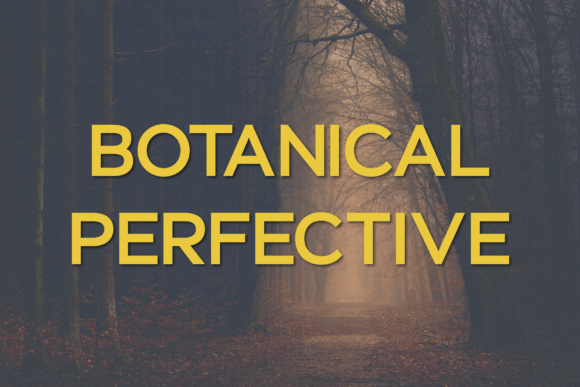 Botanical Perfective: The Modern Sans Serif Font for Handmade Brands