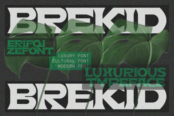 Brekid: The Premium Serif Font for Luxurious Brand Identity