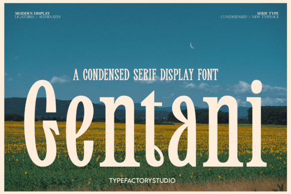 Gentani: The Serif Typeface That Elevates Editorial Design